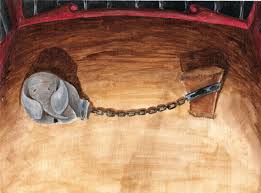 elefante encadenado